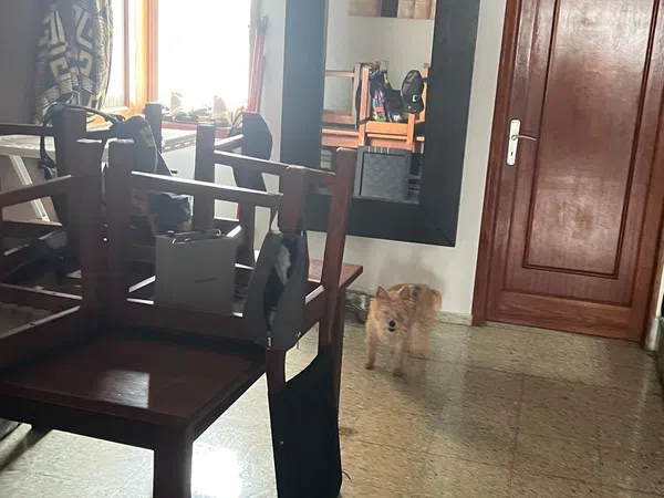 Piso en Calle Doña Perfecta, 29, Schamann - Rehoyas - Foto 3