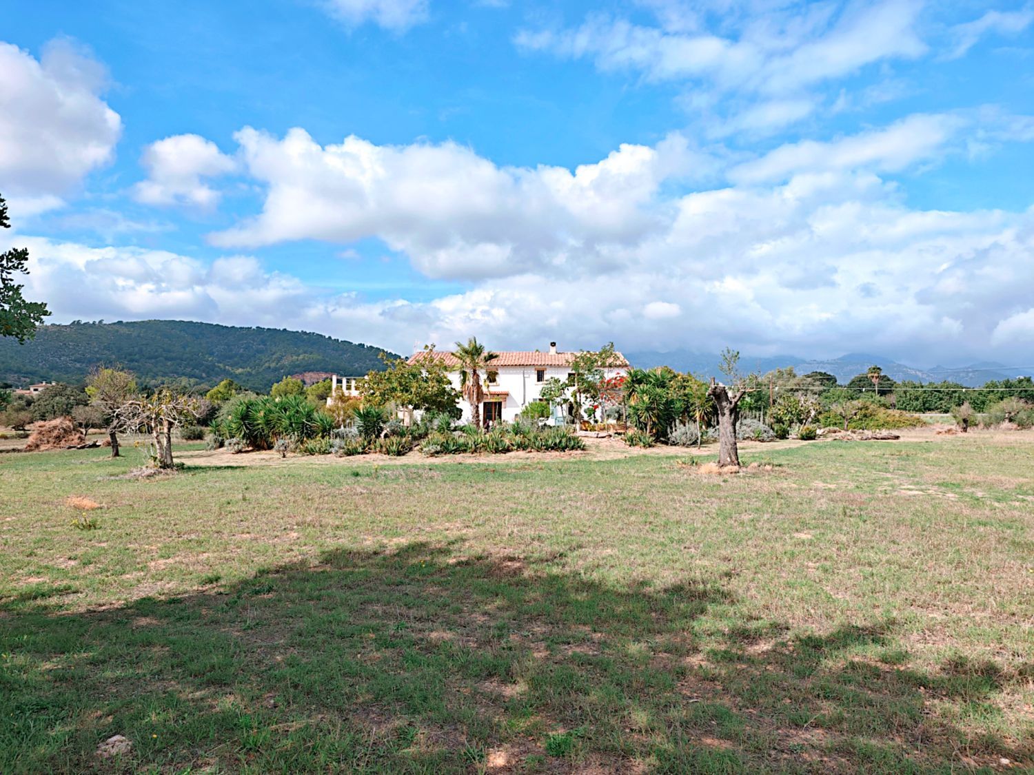 Casa rural en Diseminado Carretera Lloseta-inca, 1 - Foto 2
