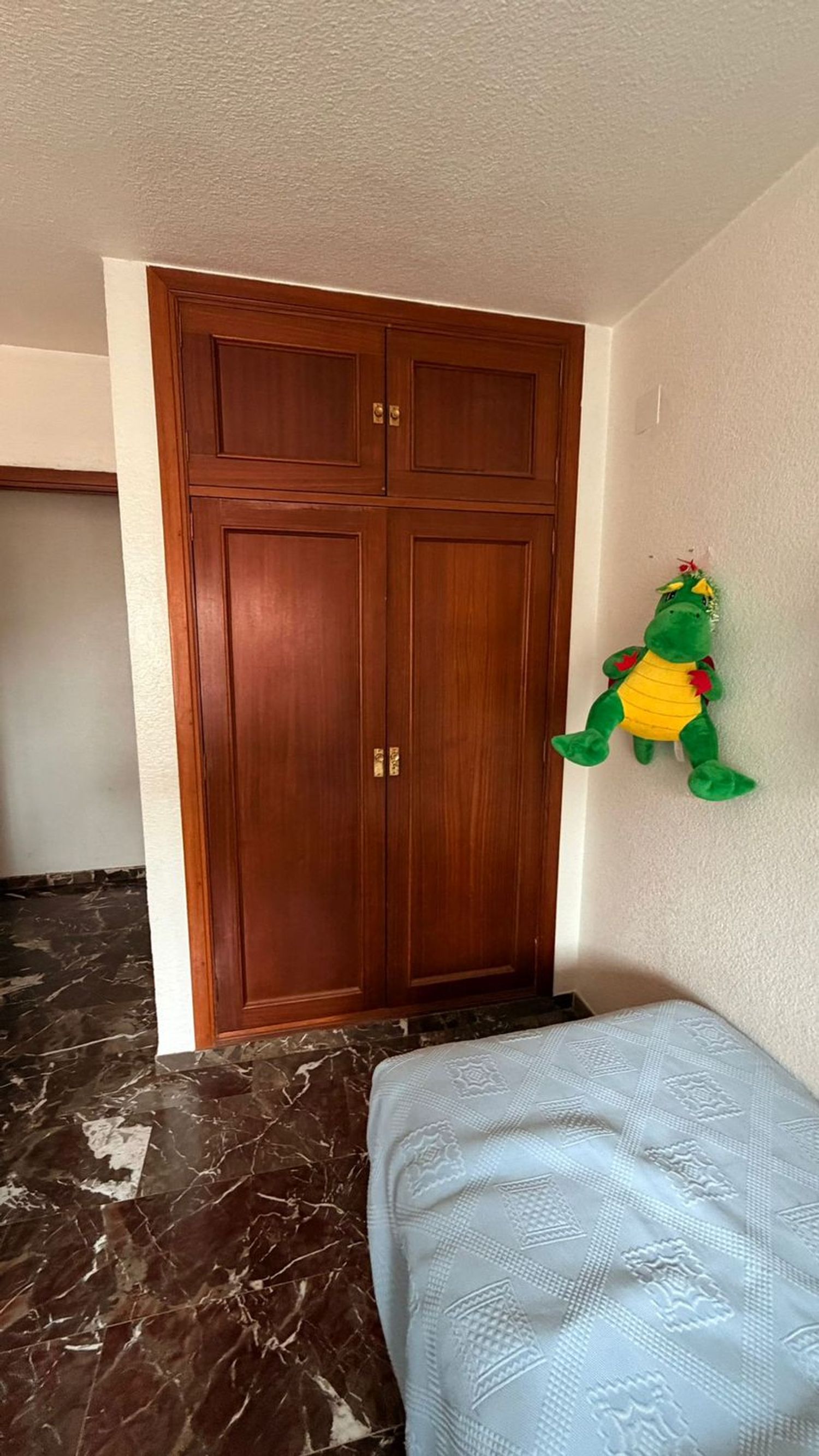 Piso en Avenida del Sur, 17, Los Pajaritos - Foto 34