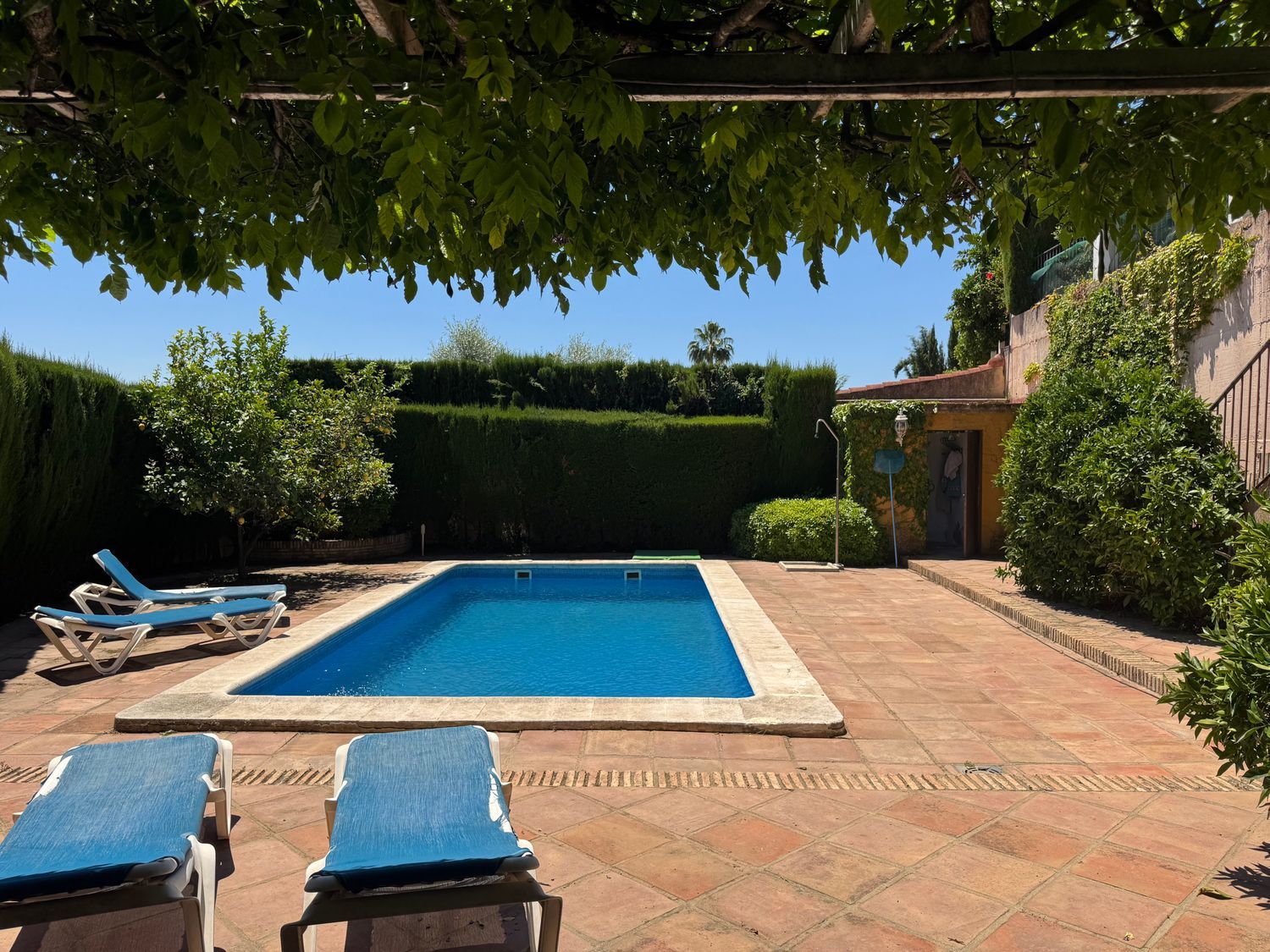 Casa o chalet independiente en Calle Escultor Freila Guevara, 32, Brillante - Foto 35