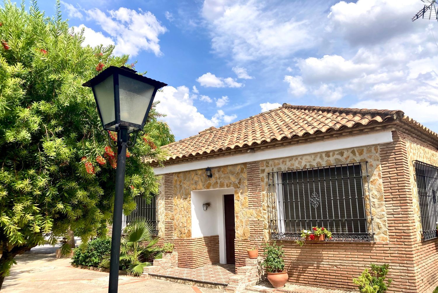 Casa o chalet independiente en Bda. de San José (Huertos Familiares), 175 - Foto 32