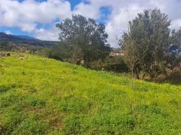 Terreno No Urbanizable en  Camino Real 308 - Foto 10