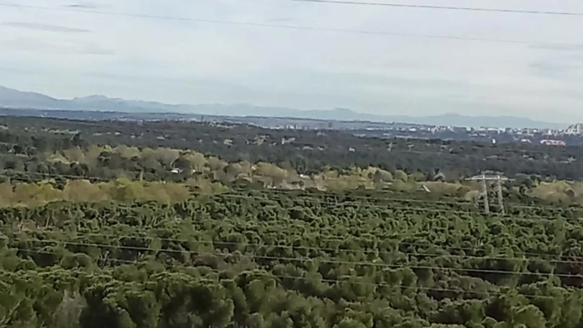 Piso en  Carretera de Boadilla del Monte 23 - Foto 17