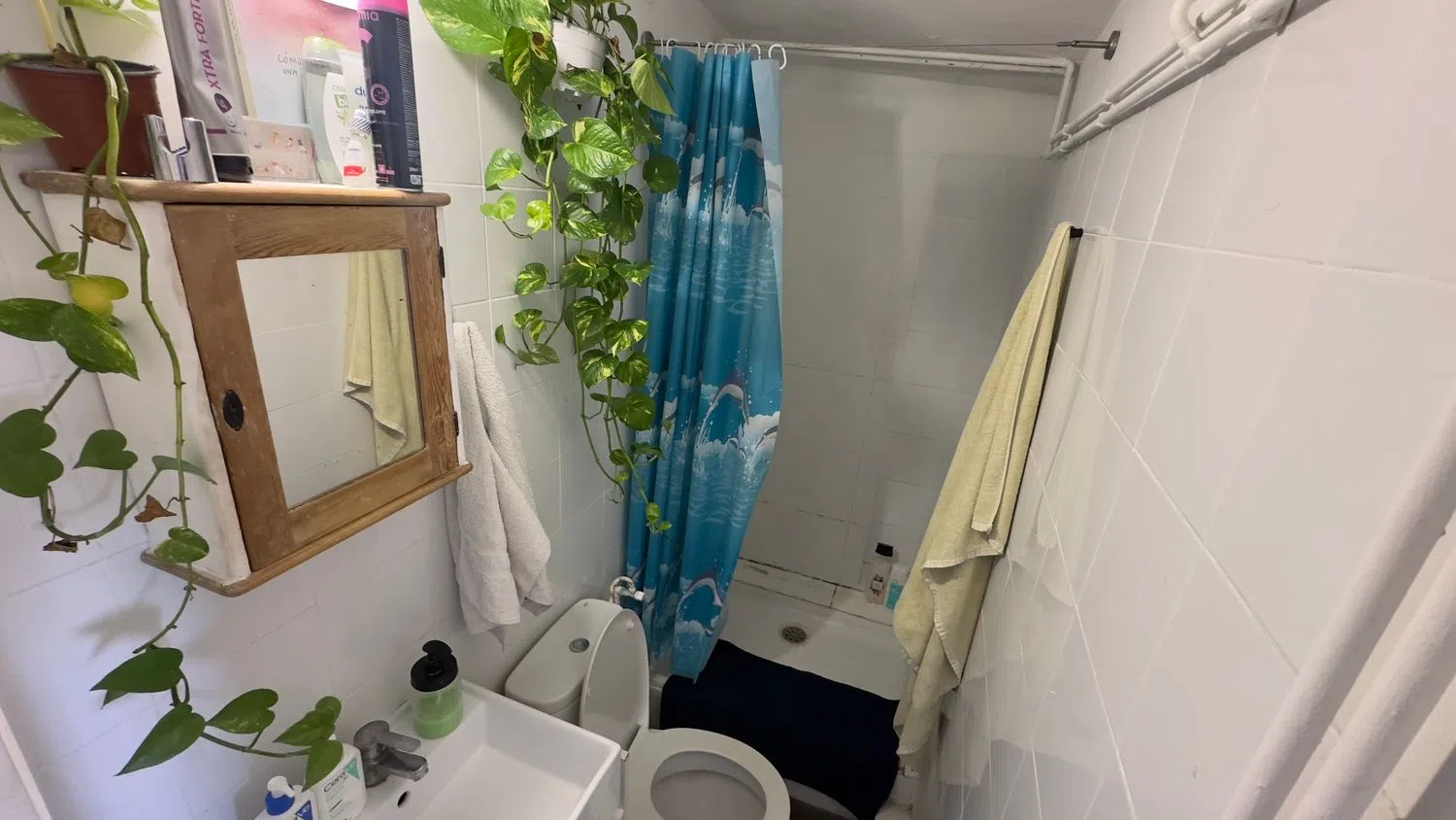 Ático en paseo de Pujades, 5 - Foto 5