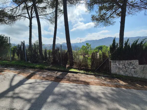 Finca rústica en Calle Avet, 2 n, Aiguaviva Parc, Aiguaviva Parc - Foto 4