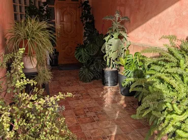 Planta baja en Archena - Foto 1