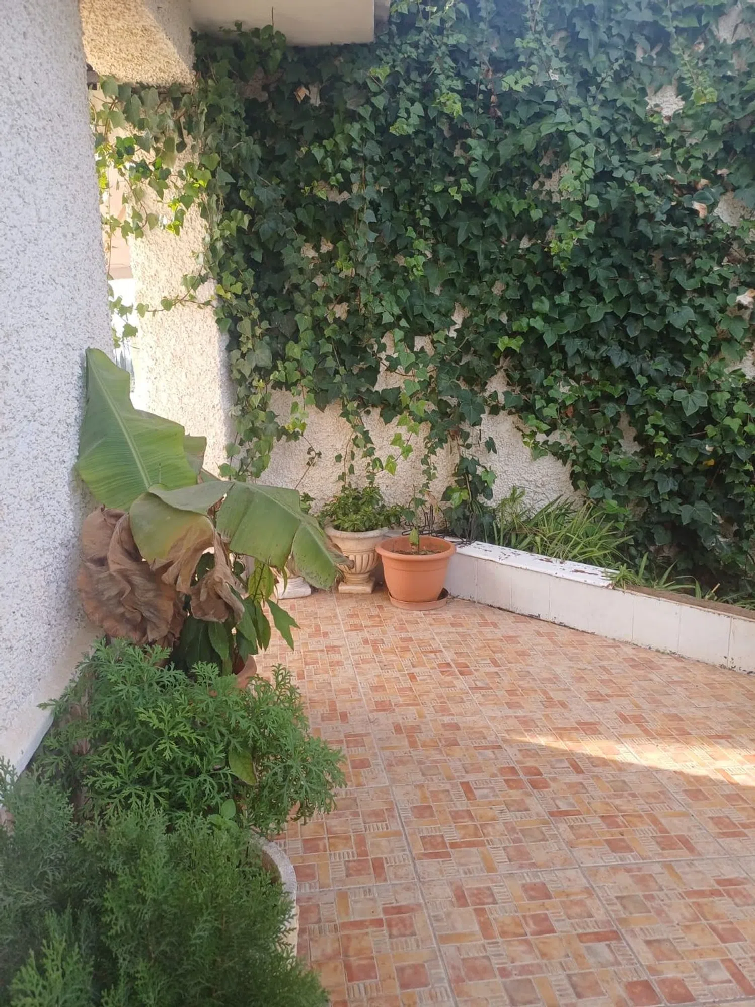 Casa independiente en Av vereda Real, 15 - Foto 2