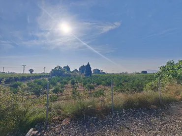 Finca rústica en Algemesí - Foto 5