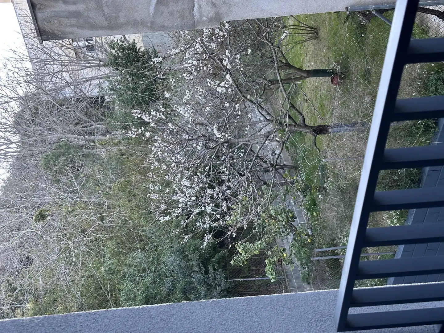 Piso en  Avinguda Sant Jordi 121 - Foto 5