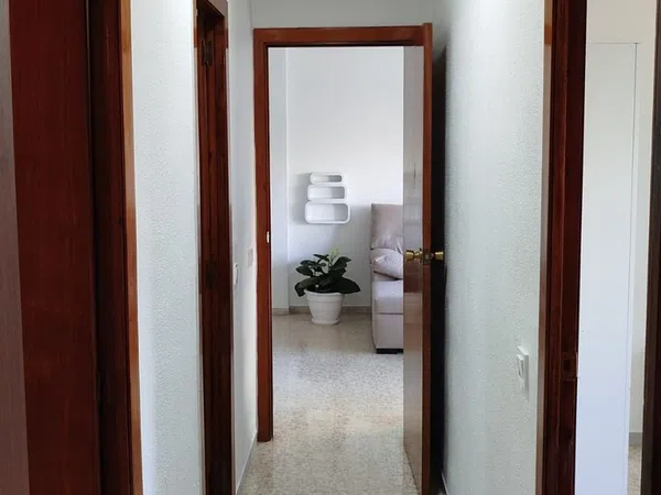 Piso en Calle Angel Ripoll Pastor, 2, Santa Aurelia - Foto 14
