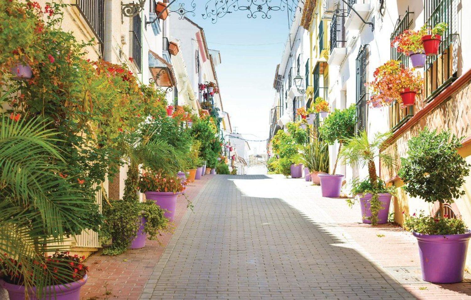 Piso en Piso Primera Linea De Playa, 23 AvdEspaa - Foto 13