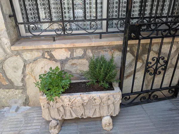 Chalet adosado en Calle de Jordi Martí Rosselló, 8, Camp Redo - Foto 35