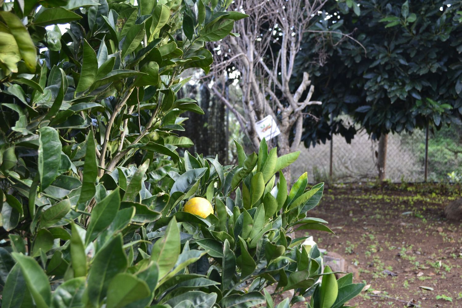 Casa independiente en calle el Roquillo, 18 - Foto 26