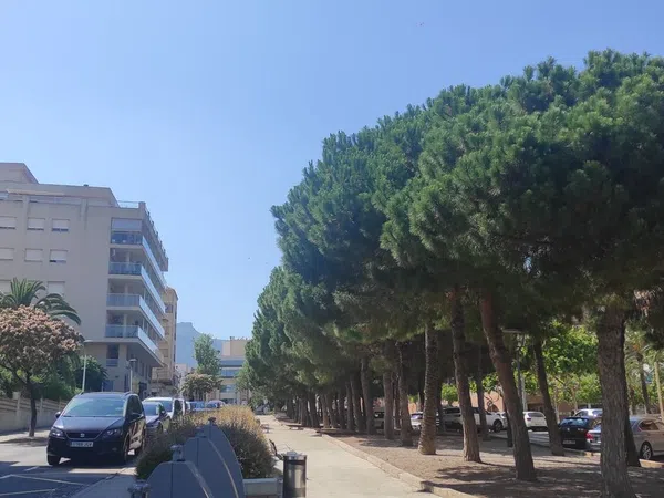 Ático en Calle de Ramon das Neves, 1, Avinguda Catalunya, Avinguda Catalunya - Foto 30