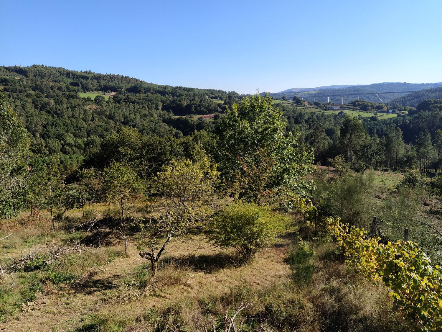 Casa rural en Senin, 6 - Foto 2