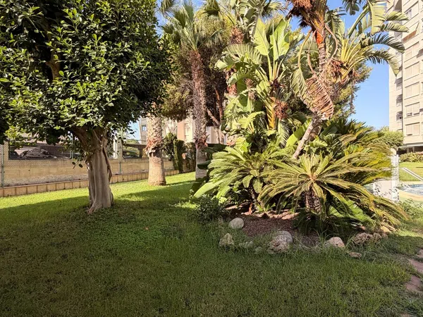 Piso en Avenida Oviedo, 15, Playa de San Juan - Foto 22
