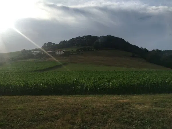 Finca rústica en Tineo - Foto 19