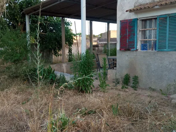 Finca rústica en Ma-3440 s/n, Zona periurbana, Zona periurbana - Foto 6