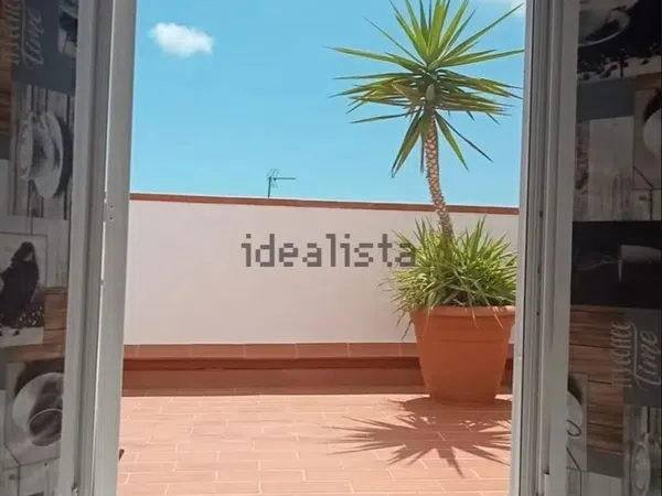 Ático en camelies, 75