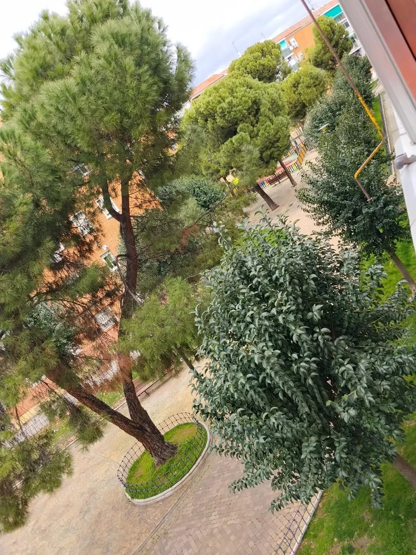 Piso en  Calle Rio Duero 62 - Foto 25