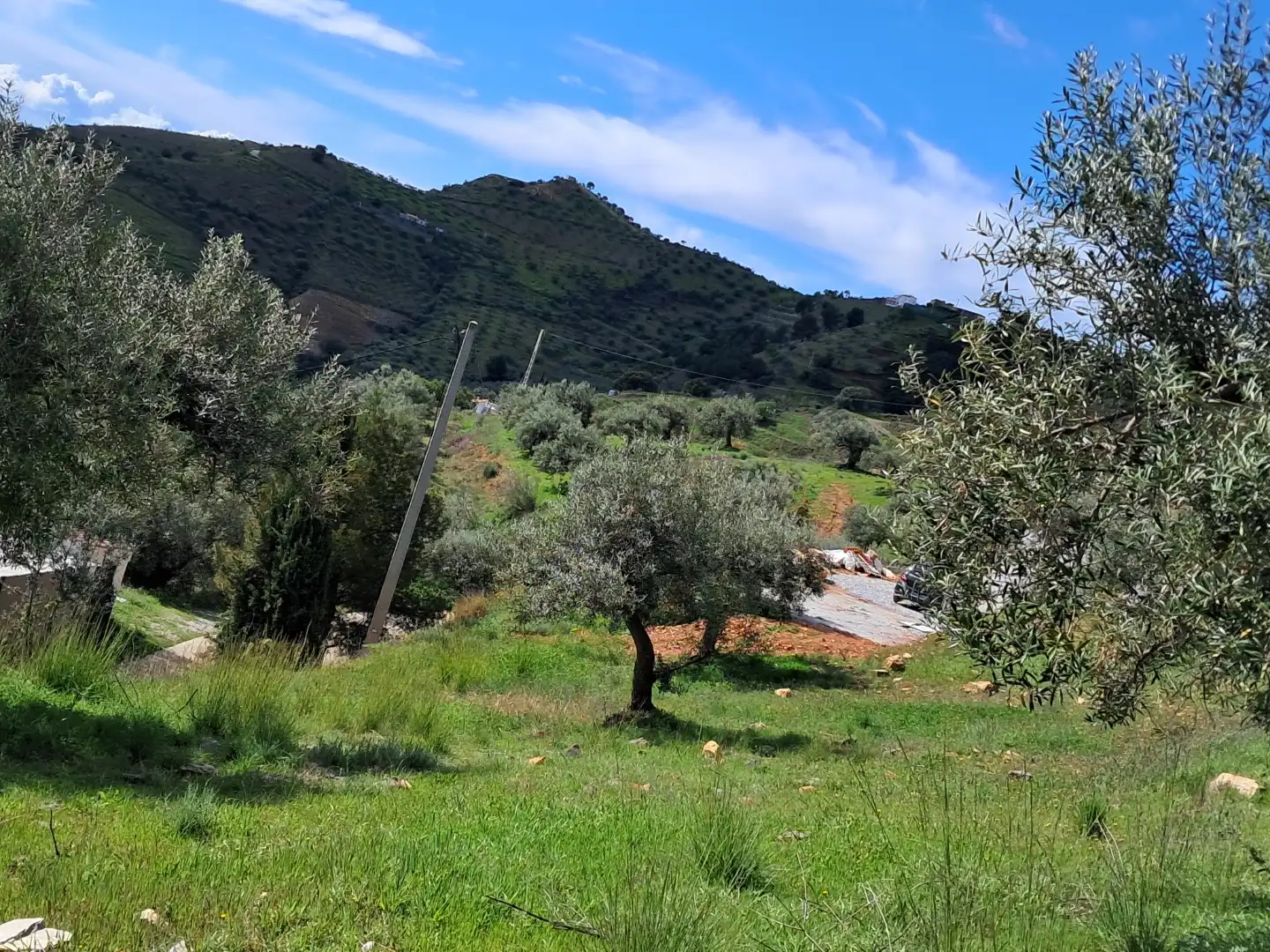 Finca rústica en  Diseminado el Cerval Pol 15 34B - Foto 15