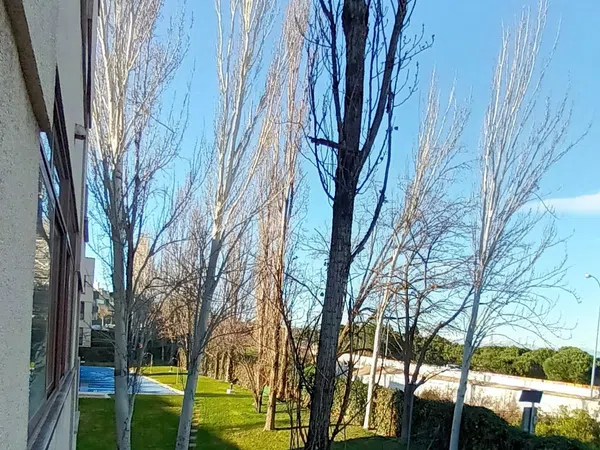 Estudio en calle Collado Ventoso, 4 - Foto 12