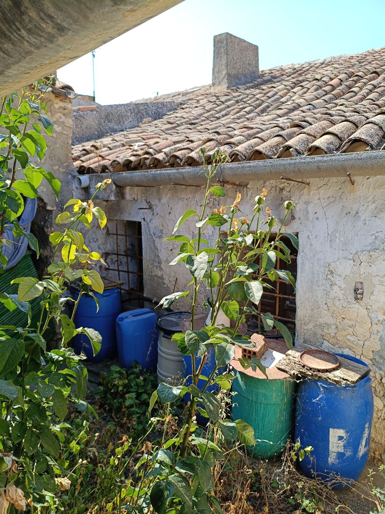 Casa terrera en Paraje Las Fuentes s/n - Foto 24