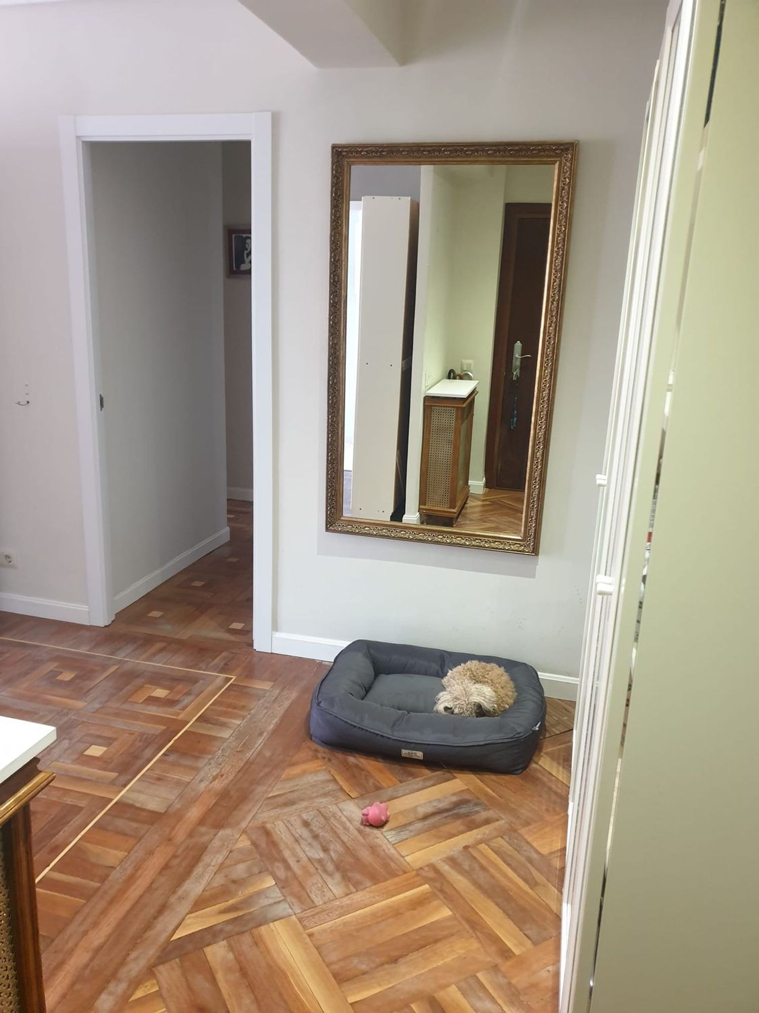 Piso en Barrio Almagro - Foto 19