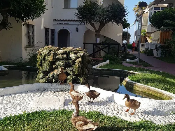 Piso en Avenida de las Antillas, 1, Laguna Beach, Laguna Beach - Foto 6