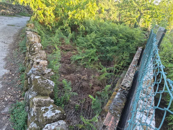 Casa de pueblo en Lugar Figueiredo, 142 - Foto 7