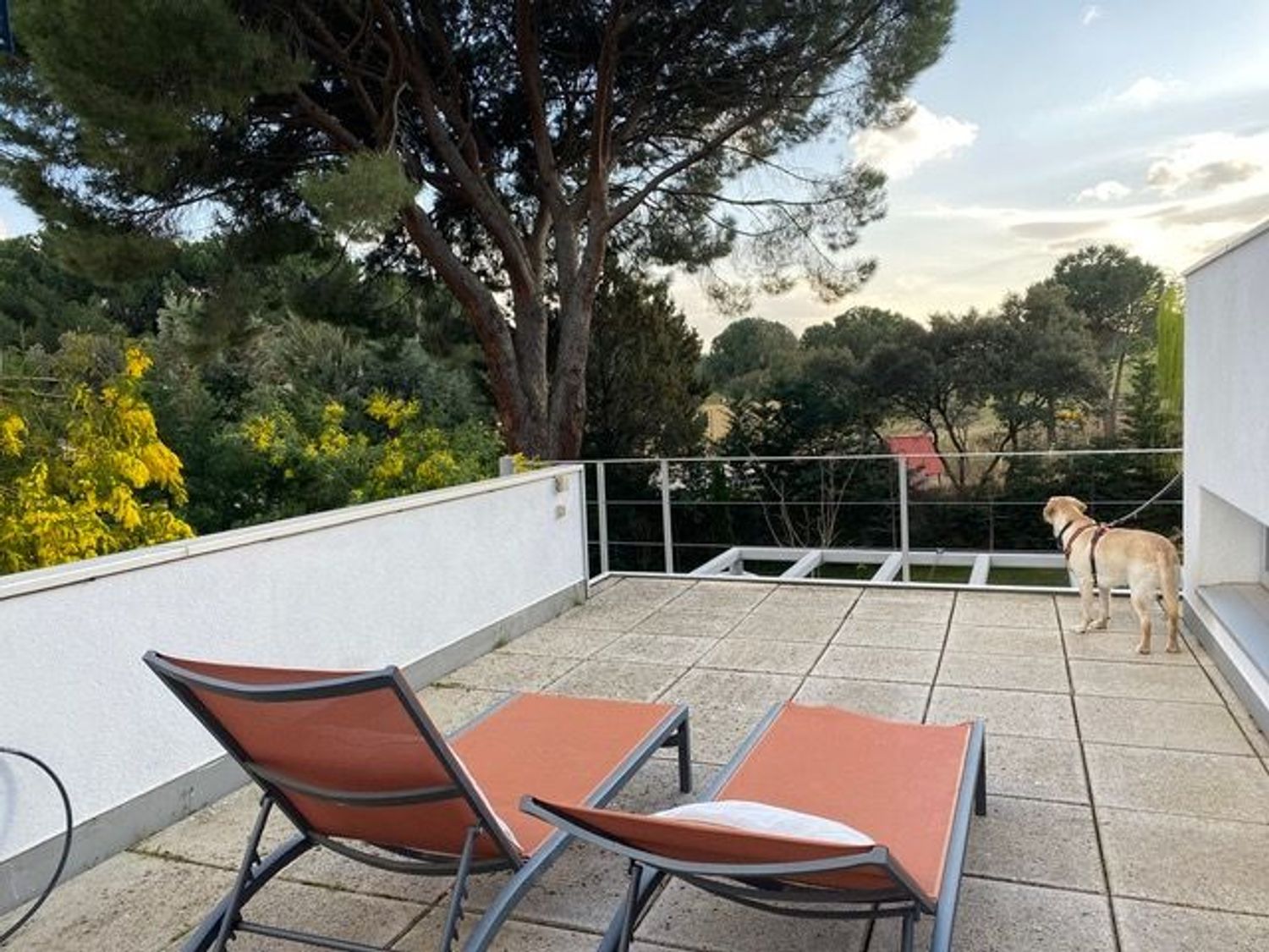 Casa o chalet independiente en San Martín de Valdeiglesias - Foto 23