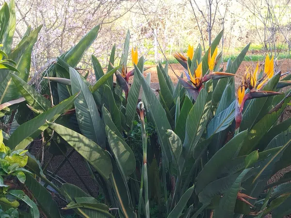 Casa independiente en Tf-274, 33 - Foto 4