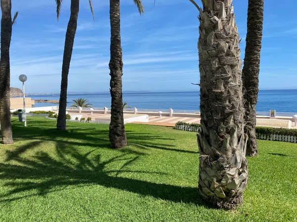 Chalet adosado en Calle Islas Cíes, 2, Puerto de Aguadulce - Foto 11
