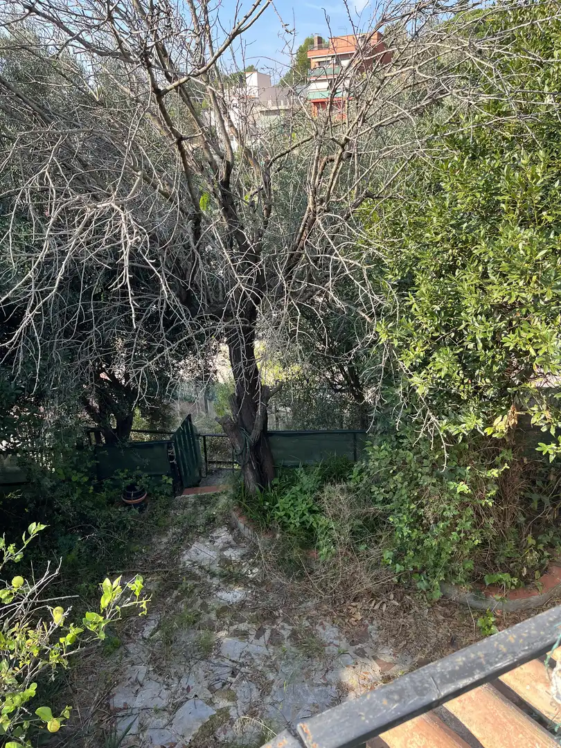 Chalet en  Carrer Montserrat 13 - Foto 29