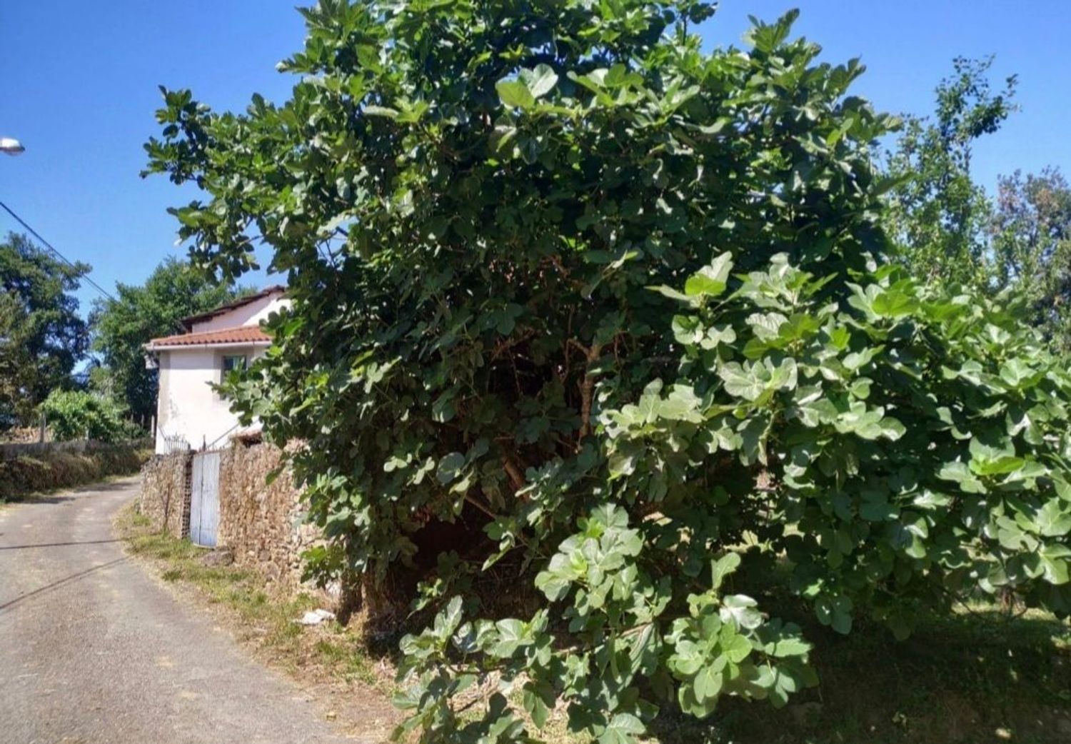 Casa de pueblo en Chavaga s/n - Foto 9