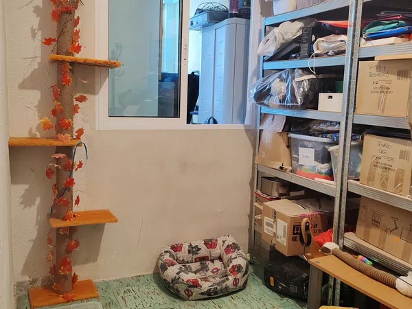 Piso en Calle Pascual Sempere Mogica, 1, Los Magros-Casablanca - Foto 23