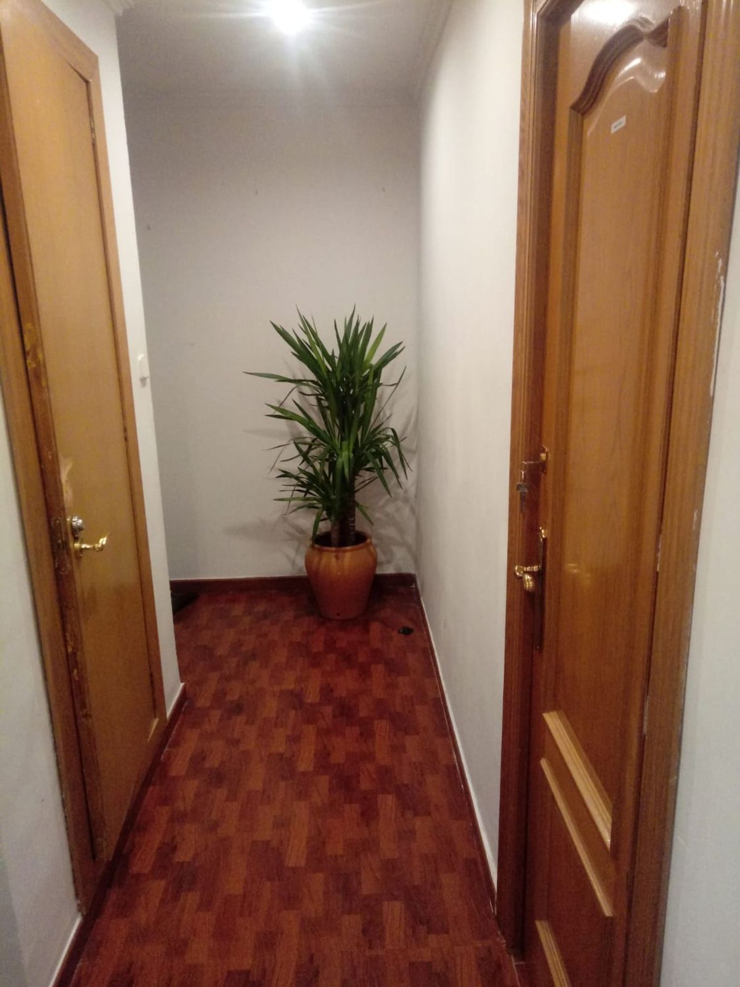 Piso en Calle de Bèrnia, 20, En Corts - Foto 9