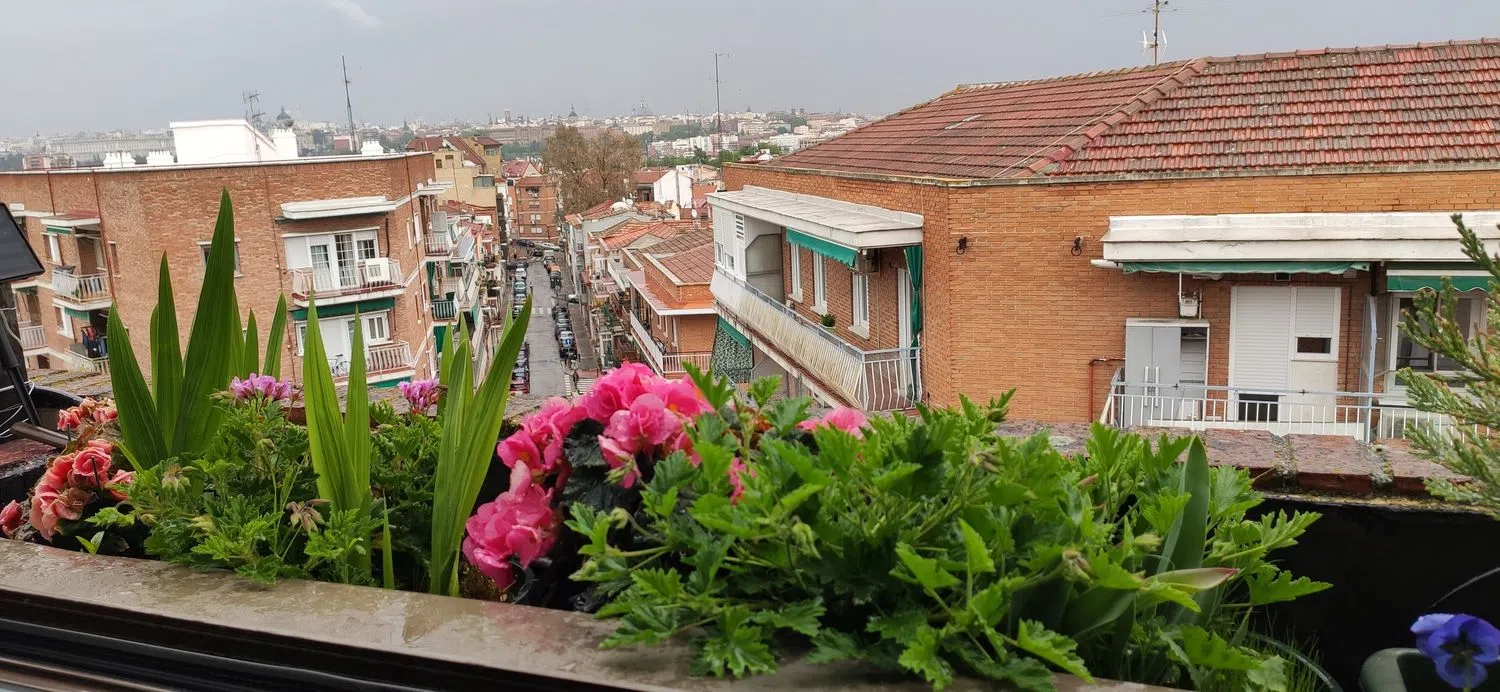 Ático en paseo de los Jesuitas, 46 - Foto 22