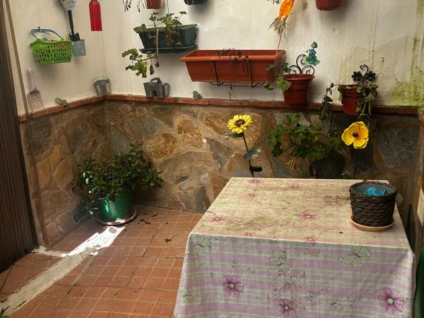 Chalet adosado en Calle Trujillo, 24 - Foto 24