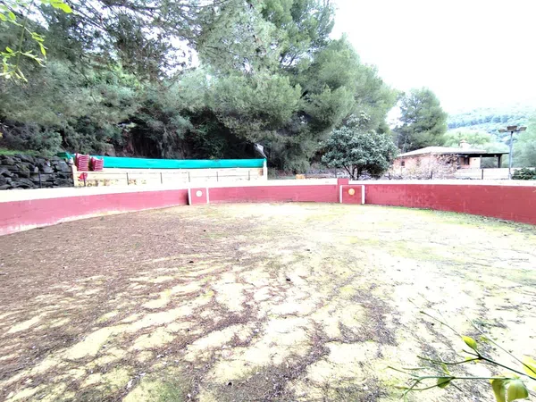 Casa o chalet independiente en venta en Llanos De Purla, 16 - Foto 8
