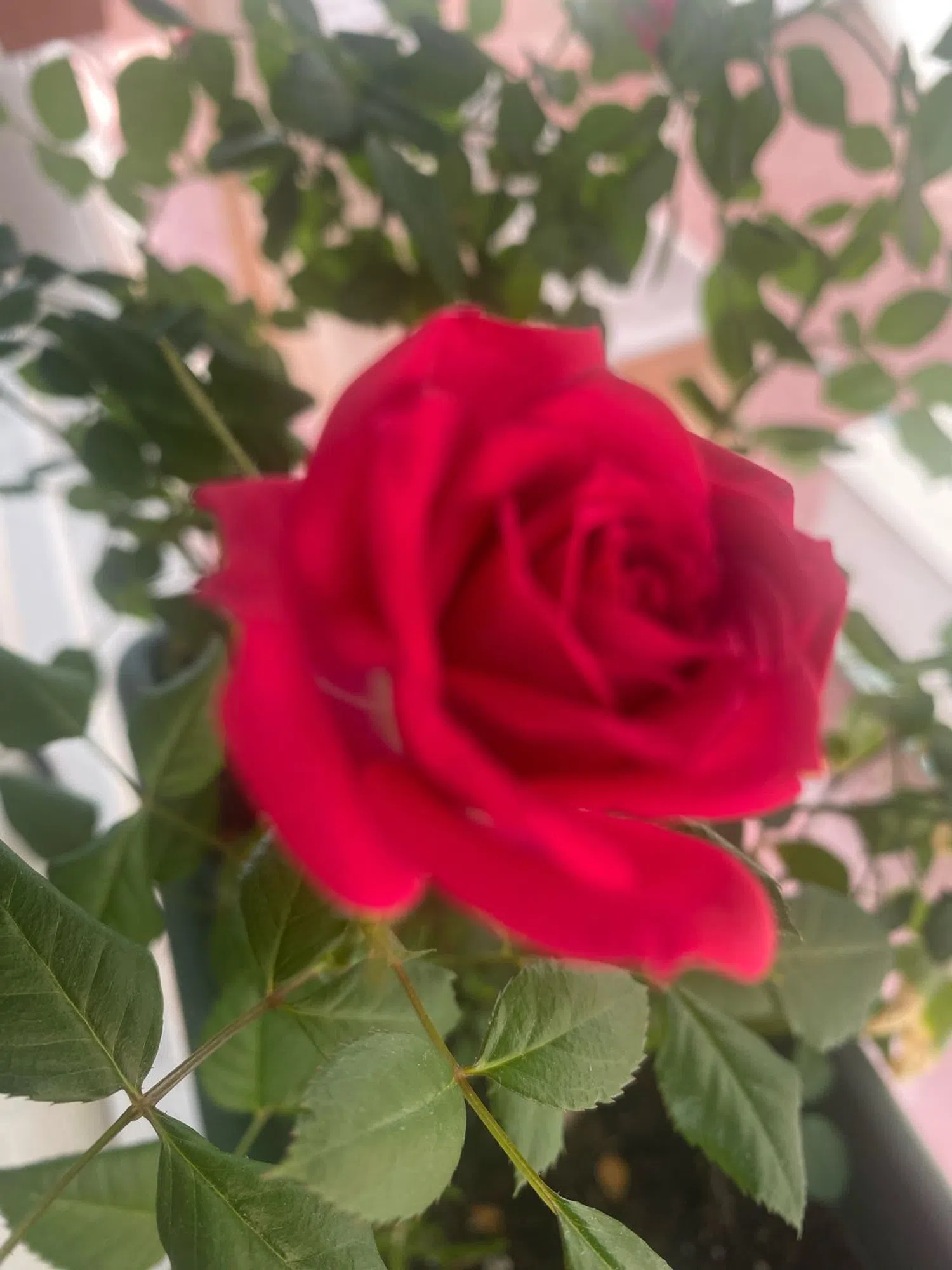 Piso en calle de Cardeñosa, 69 - Foto 26