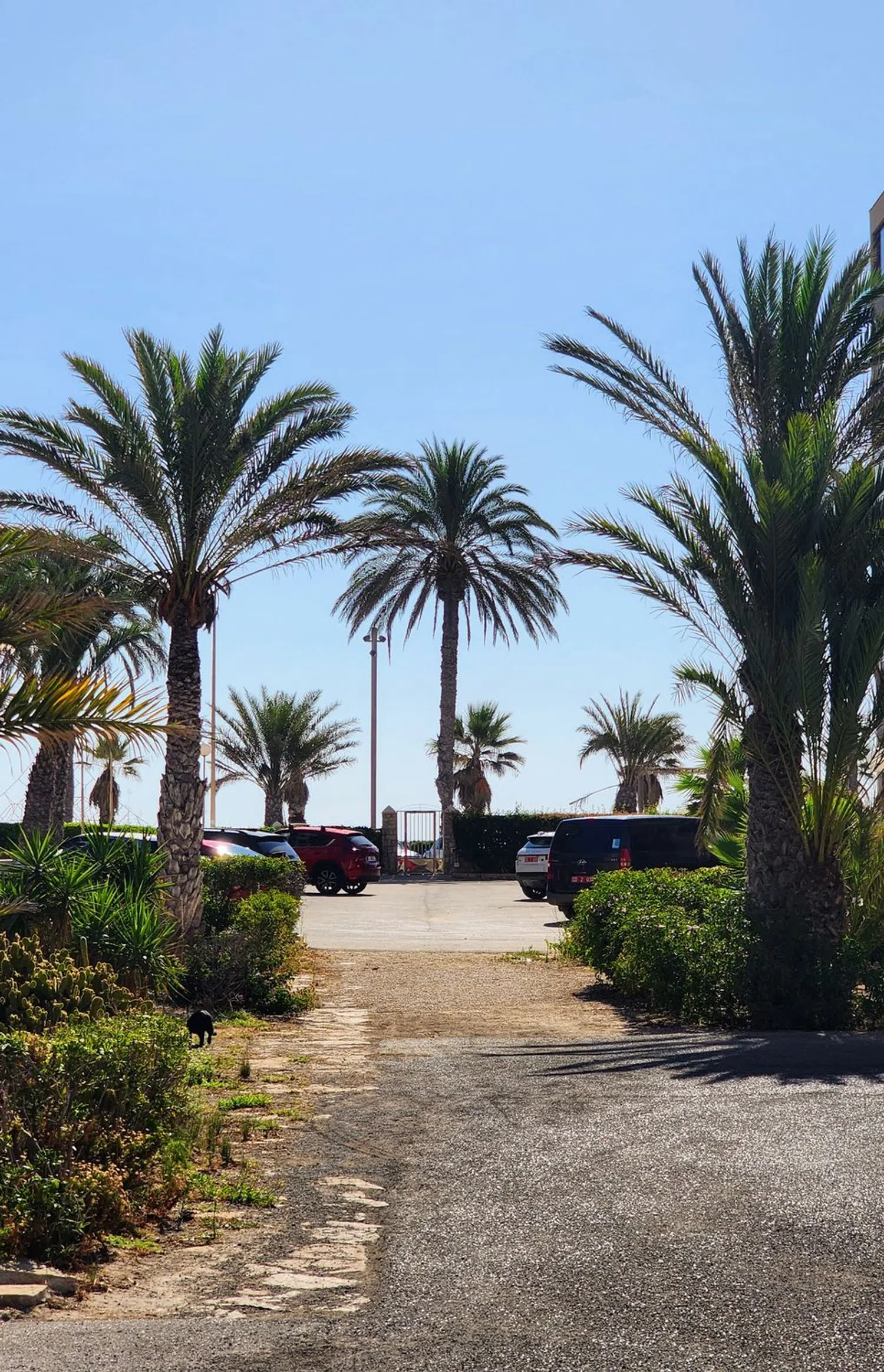 Piso en avenida de la Costa Blanca, 146 - Foto 28