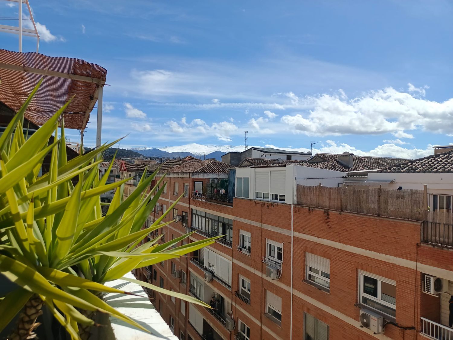 Ático en Calle Ruiseñor, 222, Los Pajaritos - Foto 2