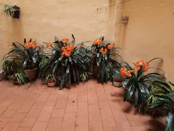Piso en  Plaza Fuente Honda 6 - Foto 8