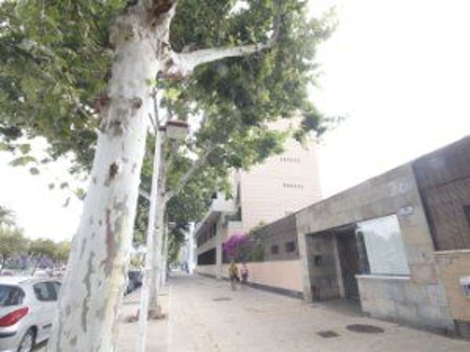Alquiler de piso en Avenida Concejal Alberto Jiménez-Becerril, 26 - Foto 2