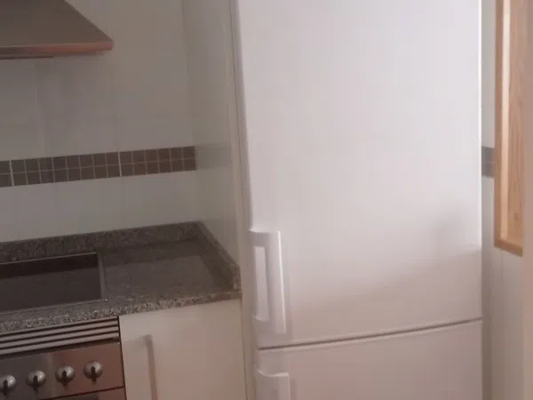 Estudio en calle Pintor José Frau Ruiz, 4 - Foto 4