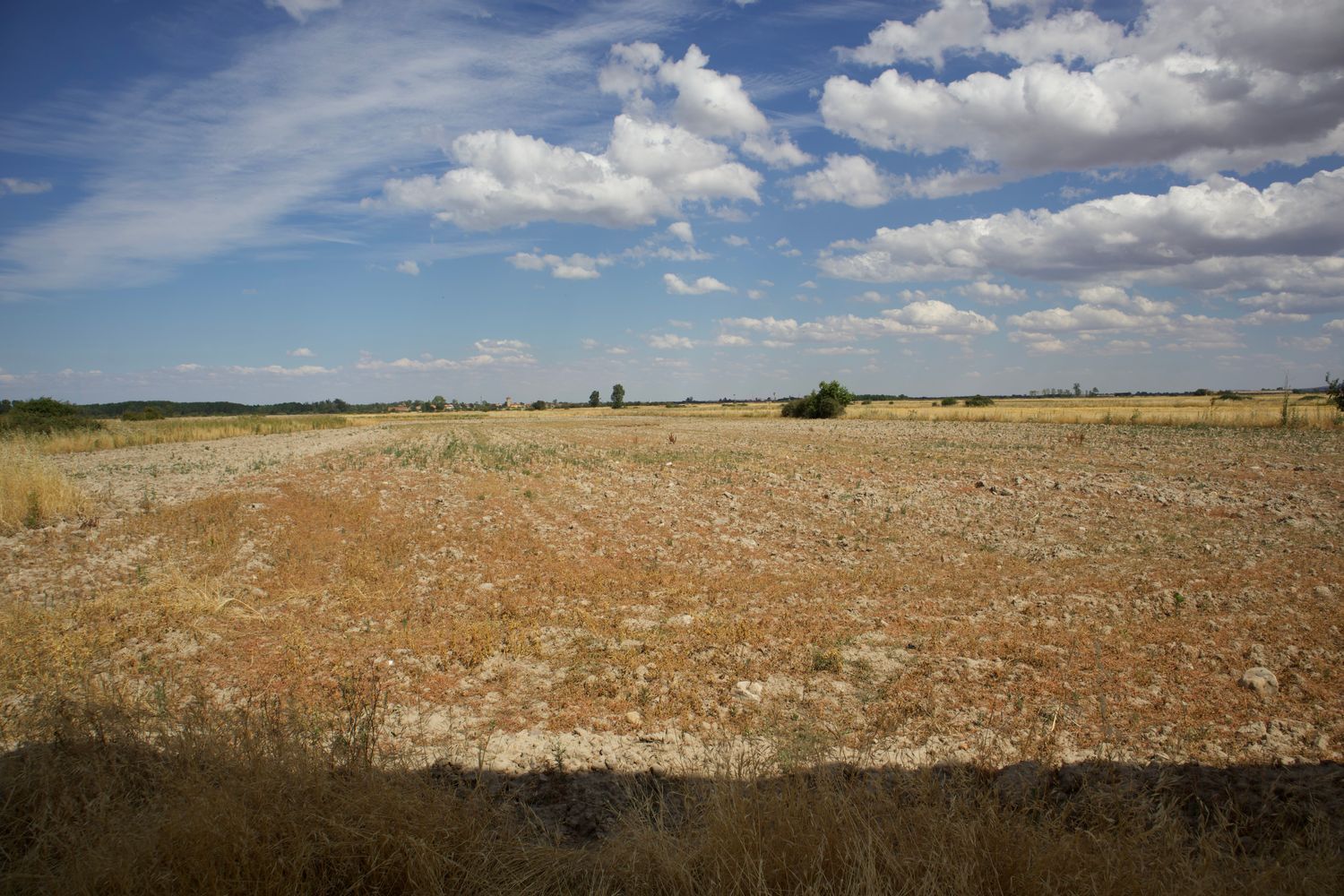 Casa rural en Calle Primo de Rivera, 52 CalleARZOBISPOMORCILLOB - Foto 8