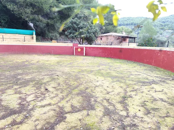 Casa o chalet independiente en venta en Llanos De Purla, 16 - Foto 10