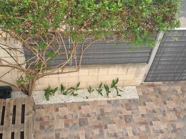 Piso en  Passeig de Poble Mar 14 - Foto 26