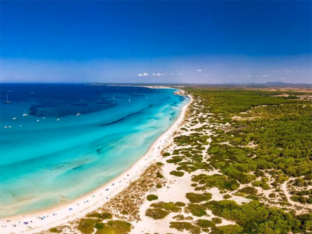 Piso en Llucmajor - Foto 17